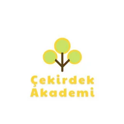 Burçin Türk