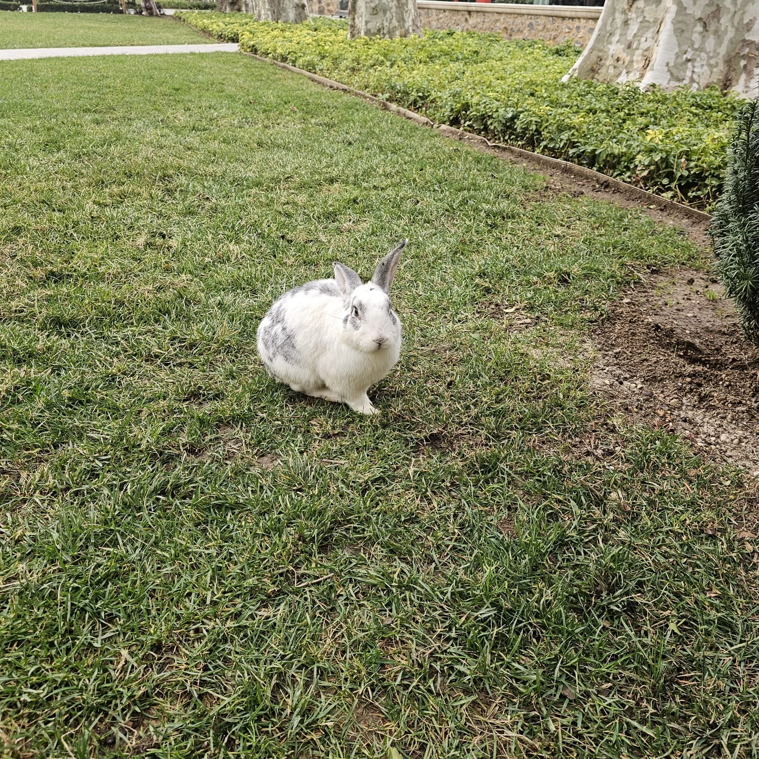 Tuğçe Kök